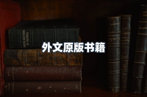 外文原版书籍